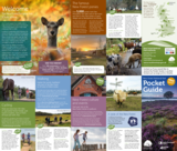 0999 nfnpa guide 2018 web final